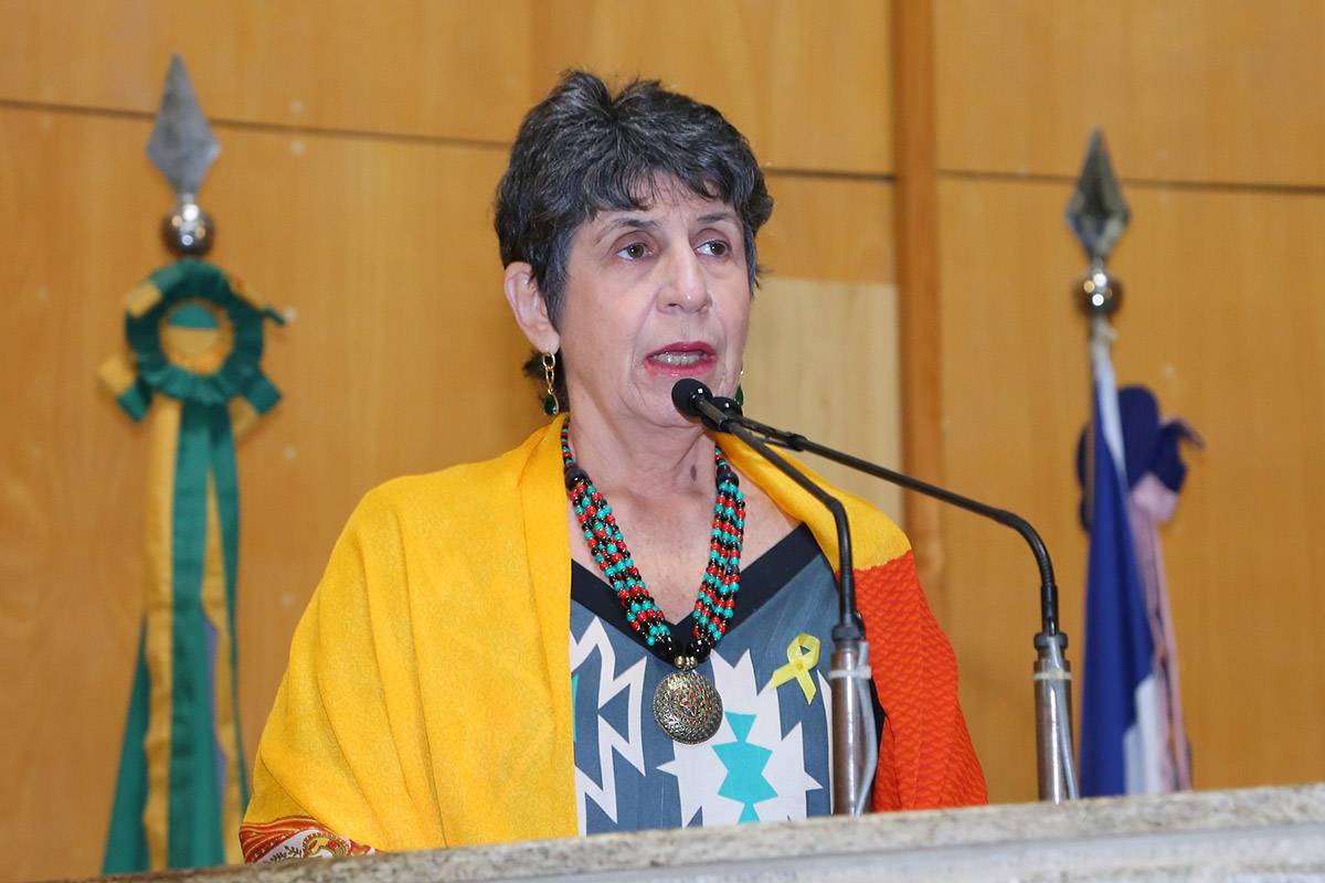 Deputada estadual Iriny Lopes
